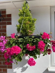 Hanging Basket with flowers outside Toppesfield House